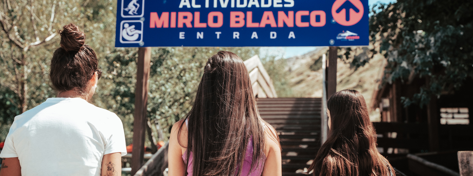 Actividades Mirlo Blanco