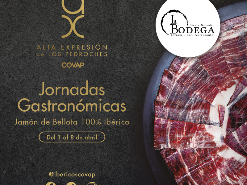 La Bodega Img 1200X1200px