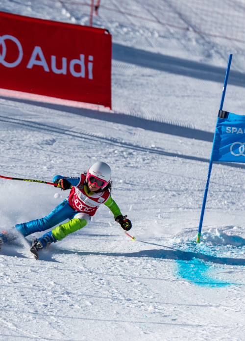 Microsoftteams Image (11) Copia