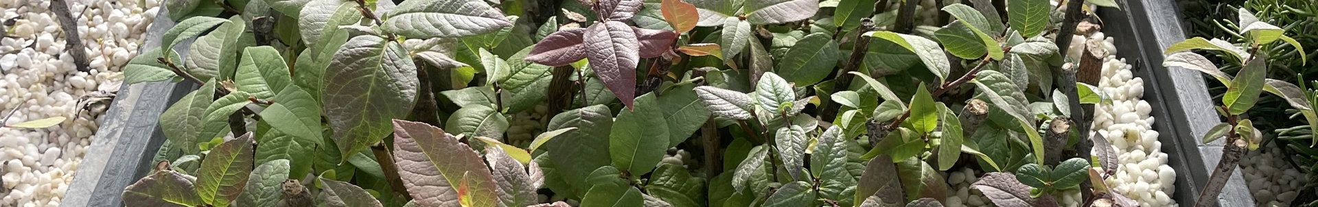 Foto 19 3 24, 9 57 40 Copia