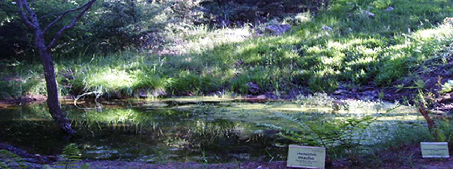 Jardín Botánico Hoya de Pedraza
