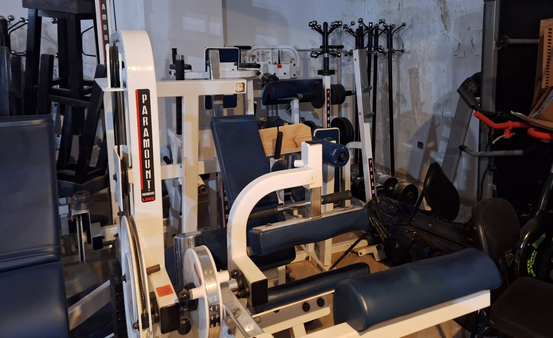 Whatsapp Image 2025 05 27 At 13.45.53