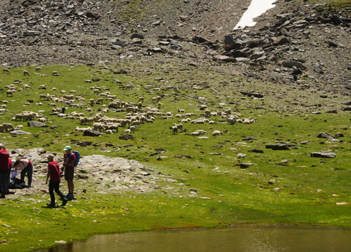 Ruta Lagunillos