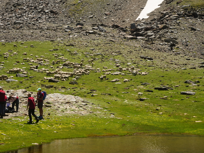 Ruta Lagunillos