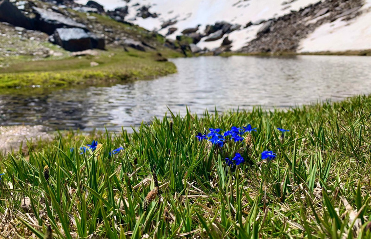 Trekking to the Dílar River Lagoons