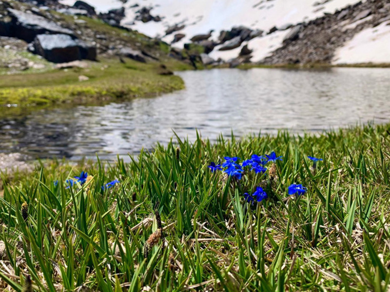 lagunas-del-río-dílar-4.jpg