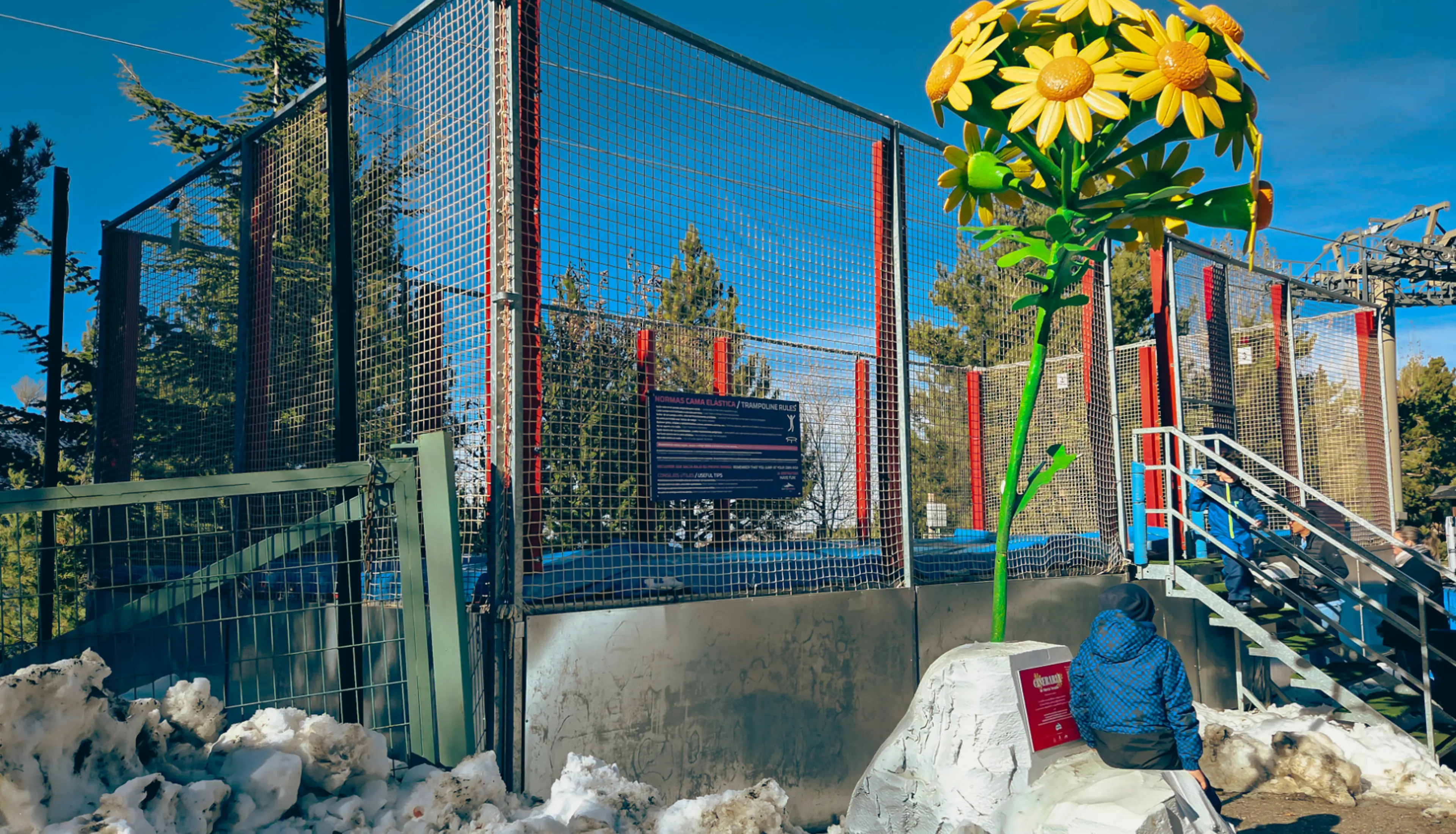 Actividadeselásticas 1200X630 –1